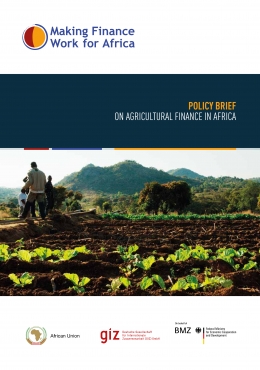 Policy Brief on Agricultural Finance in Africa