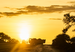 Islamic Finance Blog MFW4A July 2019